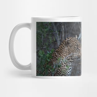 Wild life design Mug